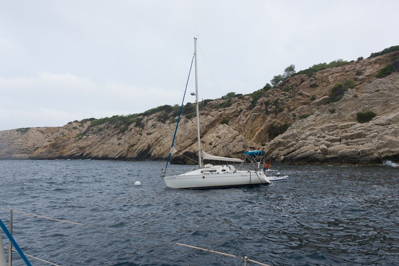 vadella